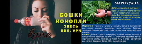 винт Алексеевка