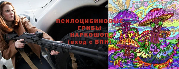 мдпв Арсеньев