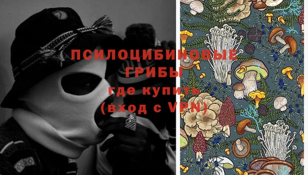 прущий лед Аркадак