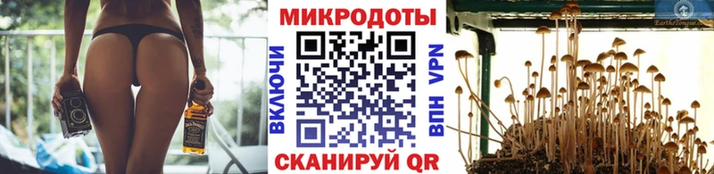 наркота  Артёмовский  Псилоцибиновые грибы Psilocybe 